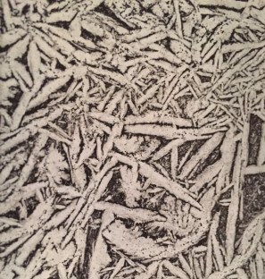 WhatsApp Image 2017-06-12 at 08.49.31