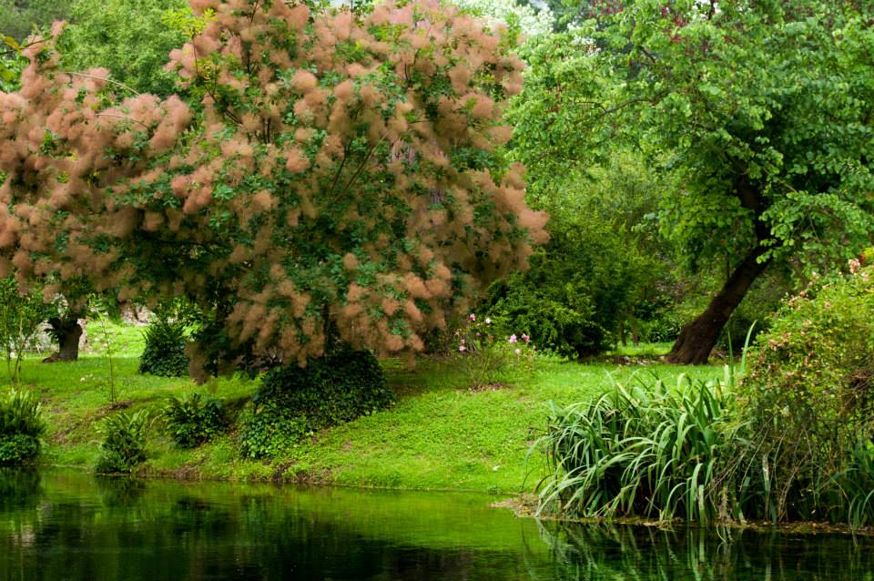 1013435_10200970910022219_398275532_n