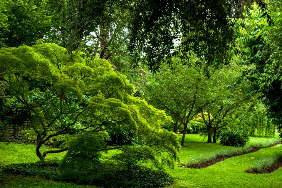 1016382_10200970914182323_133230595_n