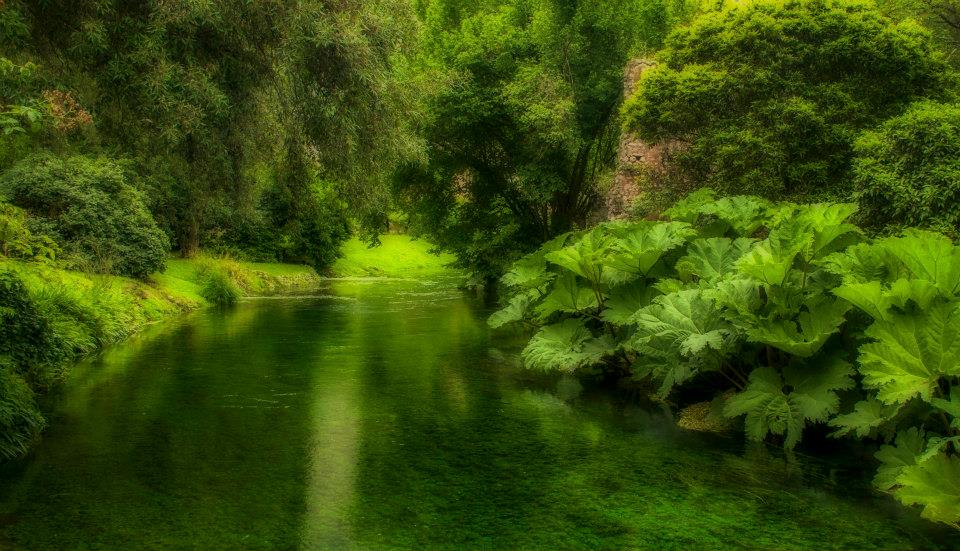 1016504_10200970915302351_825662067_n