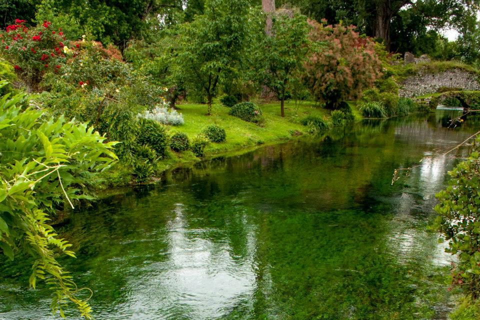 993016_10200970914622334_1266085424_n