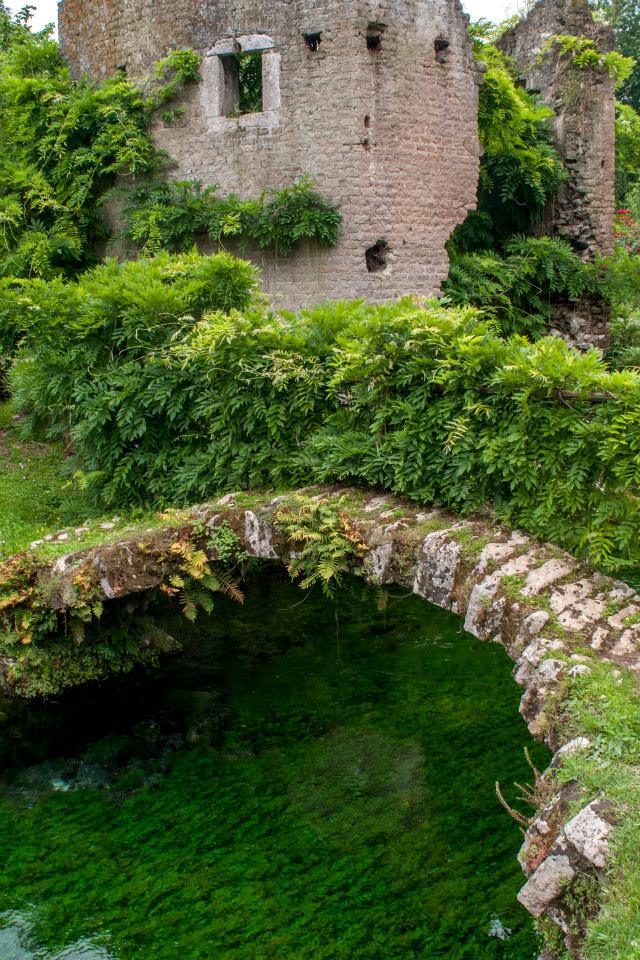 993534_10200970914062320_1458698451_n