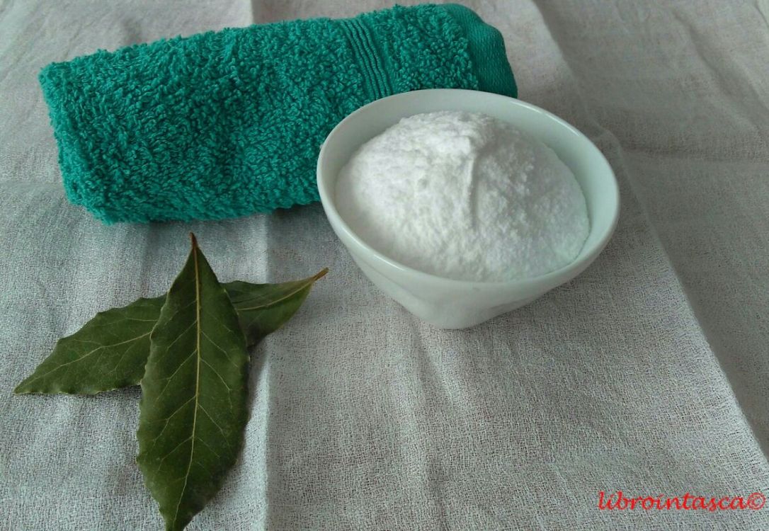 WhatsApp Image 2017-06-11 at 09.40.15