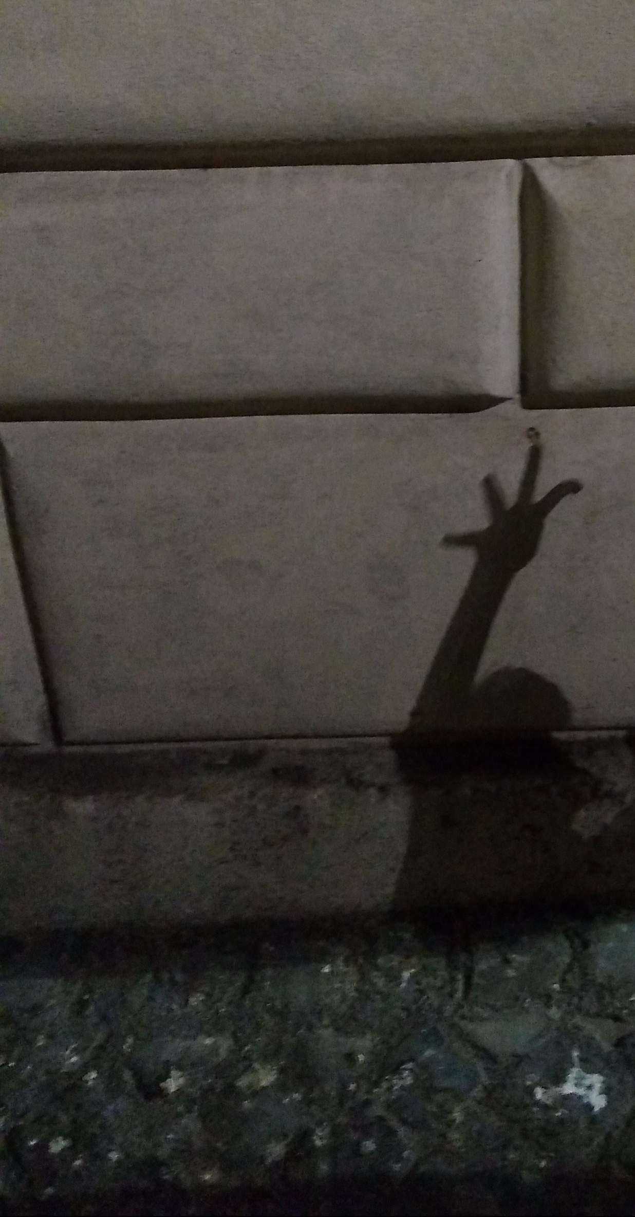 “img_20170824_222320975.jpg”