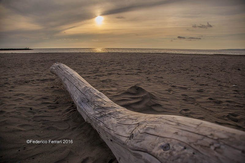 37043527335_024d168109_c