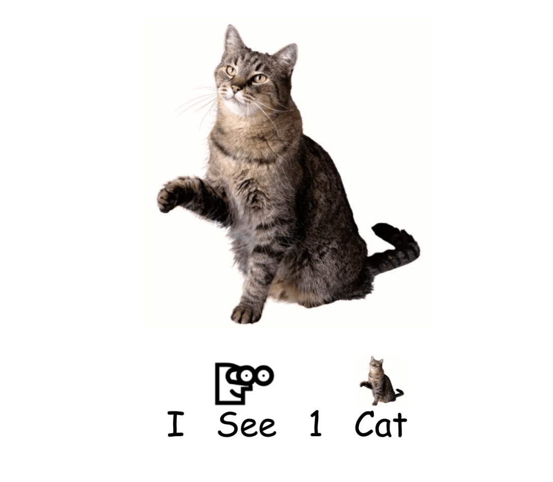 Clarkness.com